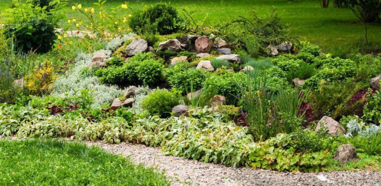 Wybór roślin na klomby