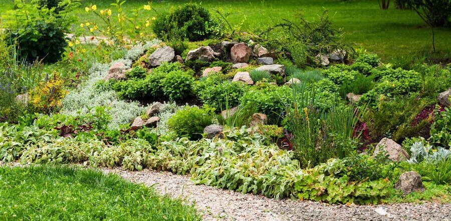 Wybór roślin na klomby