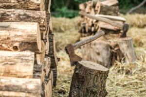 Drewno – najstabilniejsze źródło energii w niestabilnych czasach